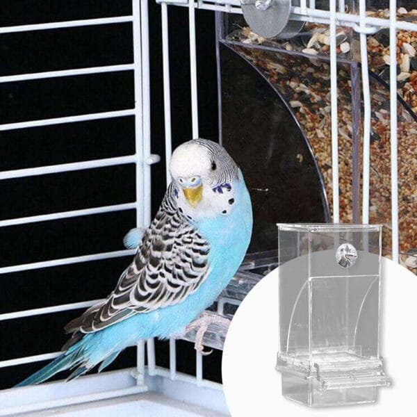 Comedero automático para pájaros, 1 recipiente transparente para colgar semillas con percha, comedero para pájaros, accesorios para jaula de pájaros para periquitos pequeños y medianos, pinzones de - Image 6