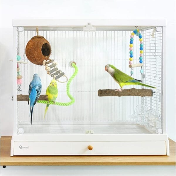 Andiker 2 Piezas Soporte de Pájaro, Juego de Loro de Madera Natural Perch, Barra de Molienda de Garras de Pájaro, Budgies, Parots, Conures, Lovebirds, Accesorios de Jaula de Juguete (10cm+20cm) - Image 5
