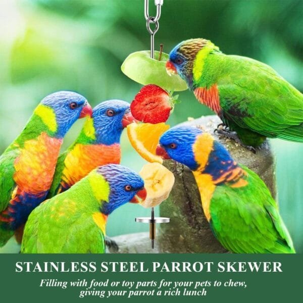 KSJEHW 3 Piezas de brochetas para pájaros, Accesorios para Loros, Soporte para palitos de Frutas para Loros, Accesorios para jaulas de pájaros, Herramienta para Frutas y Verduras para Loros - Image 4