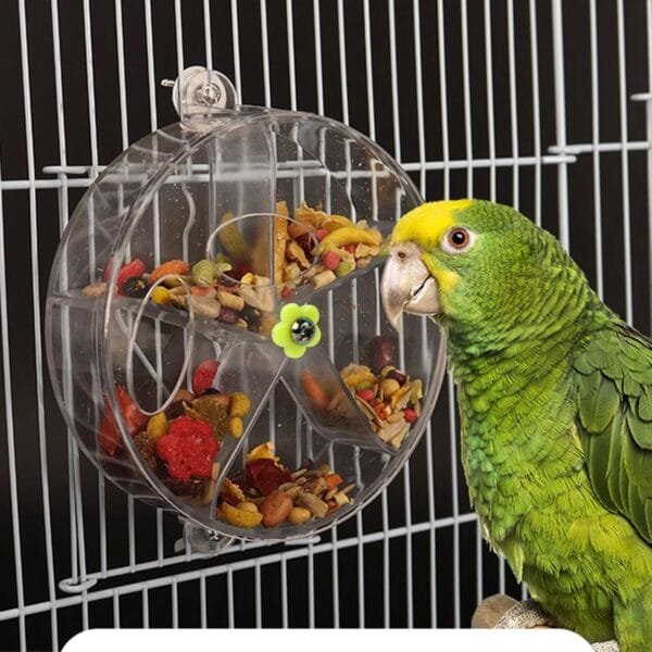 momgyaamz Juguetes Loros, Pájaros Juguete Acrílico, Juguetes Agapornis Giratorio, Bird Feeder, Masticar Juguetes Colgante, Pajaros Juguetes Intelectuales, Jaula Accesorios Transparente - Image 9