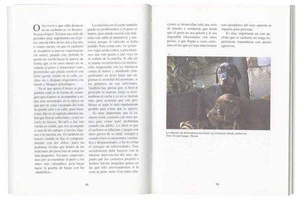Salud Del Perro (La Salud Del Perro) - Image 3