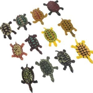 HAPINARY 12 Piezas Tortuga de simulación Modelo de Tortuga Accesorios Toys Juguetes Infantiles decoración Juguete Educativo Juguete organismo Marino Oceano Decorar Decoraciones niño