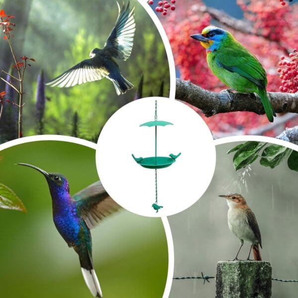 Comederos para pájaros para exteriores, comedero de colibrí, cuenco de comida para pájaros, decoración de jardín, cuenco de hierro para pájaros, comederos para pájaros silvestres, baños para pájaros - Image 4