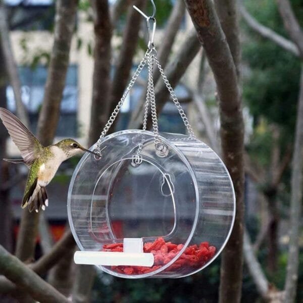 Comedero para pájaros de acrílico Transparente, comedero para pájaros Colgante, Casa con Bandeja de Comida para pájaros extraíble, Los comederos Transparentes del pájaro del jardín para la visión - Image 7