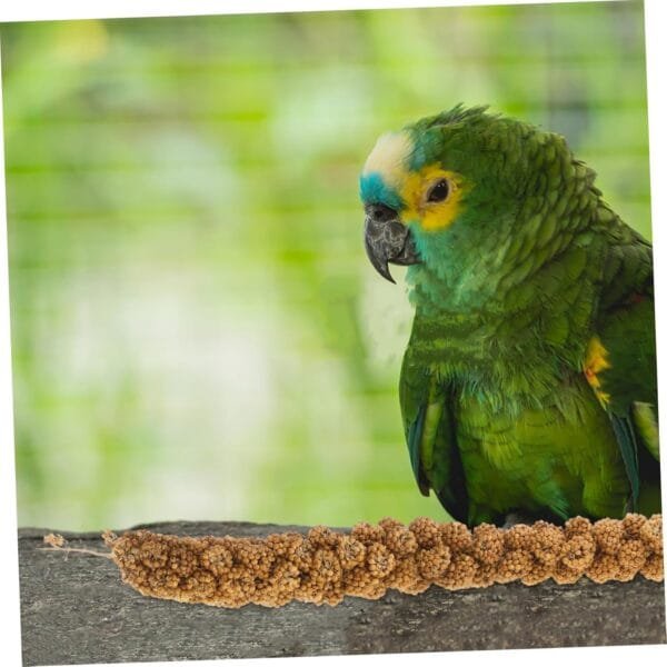HAPINARY 1 Juego De Comida para Loros Y Mijo Suministros De Comida para Pájaros Granos Naturales Portátiles Cacatúa Granos Naturales Comida para Loros Granos Naturales para Loros - Image 7