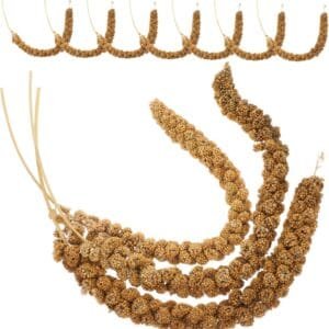 HAPINARY 1 Juego De Comida para Loros Y Mijo Suministros De Comida para Pájaros Granos Naturales Portátiles Cacatúa Granos Naturales Comida para Loros Granos Naturales para Loros
