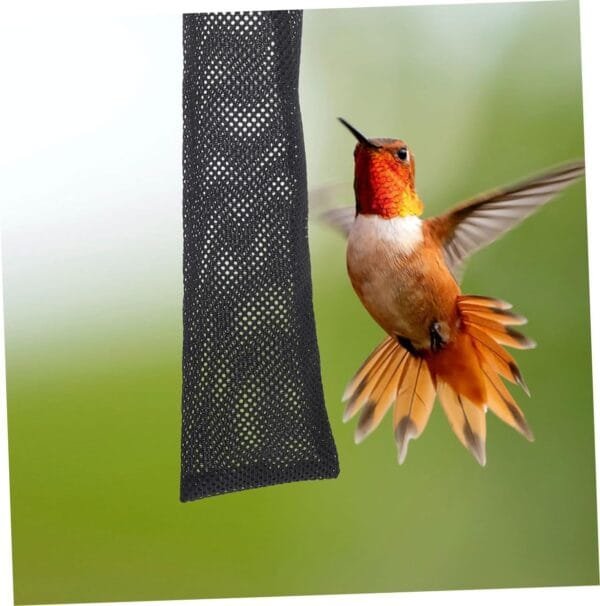 Yardwe 24 Piezas Bolsa De Comida para Pájaros Comedero para Pájaros Calcetín Bolsas De Alimentación De Pájaros Comederos De Saco para Pájaros Embudos Comedero para Pájaros Tolva Poliéster - Image 2
