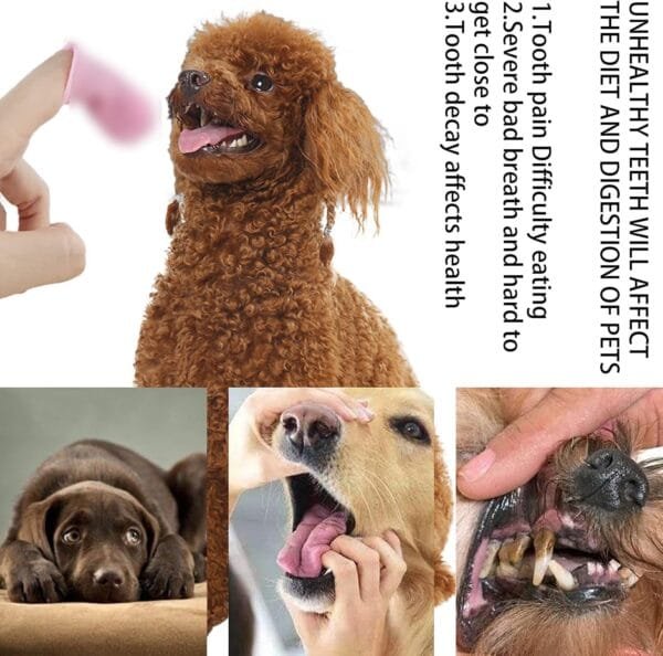 BDSHUNBF 6 Piezas Cepillo de Dientes para Perros, con Caja de Almacenamiento, Cepillos de Dientes para Limpieza de Dientes de Mascotas, Cepillo de Dientes de Silicona para Perros Gatos Cuidado Dental - Image 5