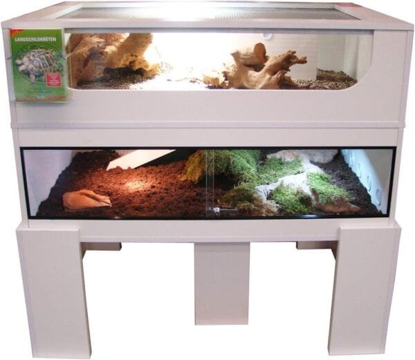 Lucky Reptile Turtle Dish WDL-10 - Cuenco de Agua o Comida para Tortugas - Image 3