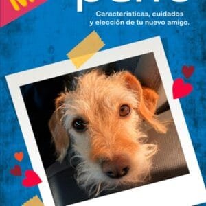 MI PRIMER PERRO: características, cuidados, y elección de tu nuevo amigo