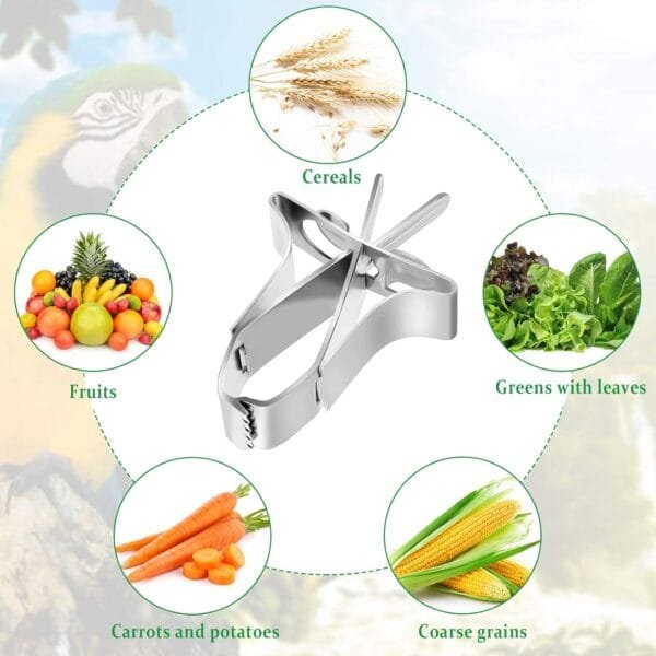 5pcs Comedero para Pajaros Clip de Alimentación para Loros Aves Comida Titular Abrazadera Accesorios Jaula de Pájaros Clip de Comida para Loros Canarios Periquitos - Image 5