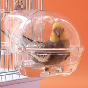 Taicols Accesorio de jaula de pájaros,Bañera para pájaros,Bañera para pajares,para jaula,Caja de ducha transparente para loro,Bañera para jaula y loro