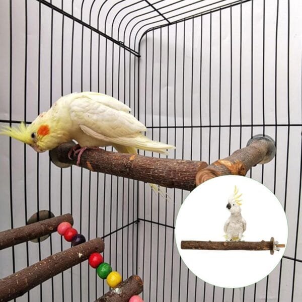 Perchas para pájaros, 5 unidades, accesorios naturales para pájaros, como periquitos, canarios, agapornidos, barras de madera natural para el pájaro como accesorio importante para pájaros en la jaula - Image 7