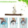 Perchas para pájaros, 5 unidades, accesorios naturales para pájaros, como periquitos, canarios, agapornidos, barras de madera natural para el pájaro como accesorio importante para pájaros en la jaula - Image 5
