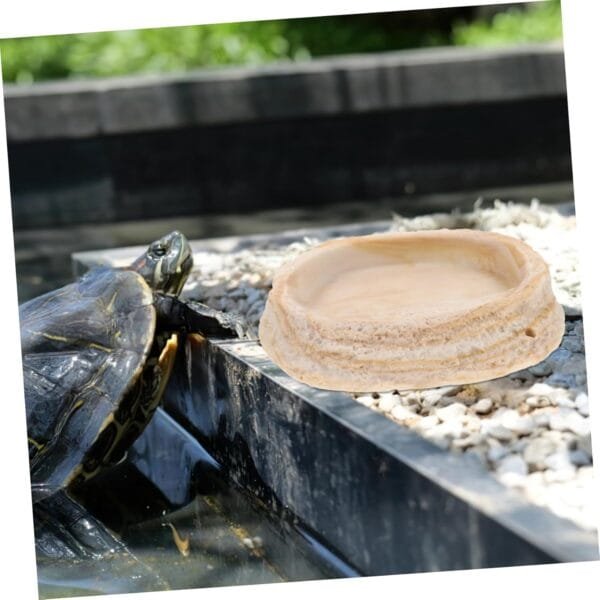 BESPORTBLE Comedero para Reptiles Plato De Comida De Tortuga Plato De Alimentación De Mascotas sobre Orugas Cuenco De Agua para Reptiles Plato De Gusano Reptil Plato De Agua De Tortuga Resina - Image 5