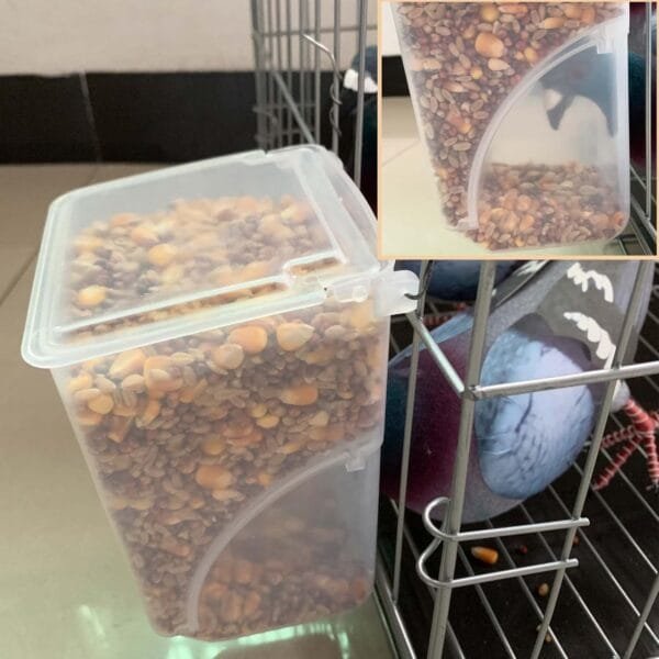 Comedero automático para palomas y pájaros, comedero para loros, accesorios para jaula de agua, suministros para periquitos, canarios, pinzones de cacatúas - Image 7