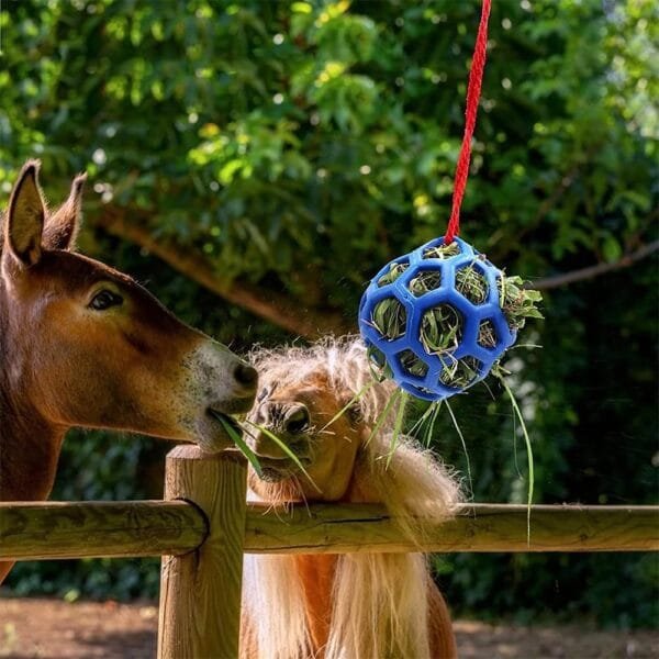 ieron Bola de comedero de heno colgante para conejo, juguete para animales pequeños, mascotas, cobayas y tortugas (azul) - Image 6