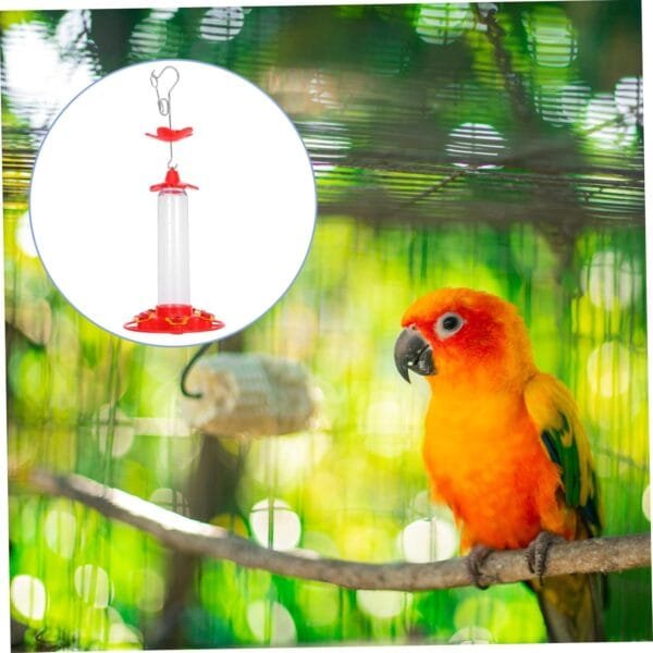 Yardwe Comedero para Colibríes Plato De Comida para Pájaros Comedero para Jaula De Pájaros Comedero De Agua para Colibríes Comederos Colgantes para Pájaros Colibrí Agua Planchar Rojo - Image 7