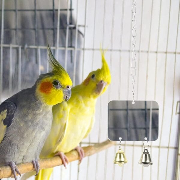 PATKAW Pájaro espejo accesorio para pájaros, accesorios para jaulas de pájaros, espejo periquito para jaula, espejo de pájaro, con campana, jaula de pájaros, espejo para periquitos, juguetes, loros, - Image 9