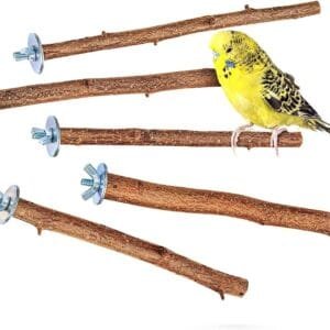 5 Perchas Madera pájaros, Palos para Jaula - Accesorios Jaula pajaros Importante - Juguetes agapornis ninfas periquitos