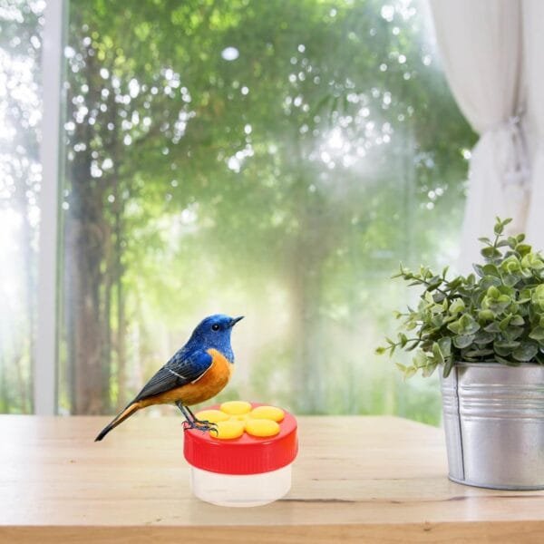 YARNOW 2 Juegos De Comederos para Pájaros para Exteriores Comida para Pájaros Contenedor Transparente para Exteriores Dispensador De Comedero Decorativo para Pájaros Contenedor - Image 6
