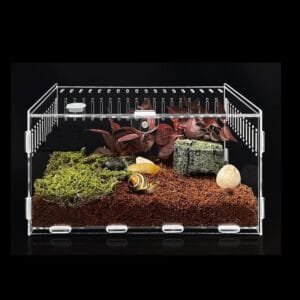 Topspitgo Terrario de Caracoles,Caja de Transparente Transporte de Acrílico,Terrario de para Arañas Gecko Hámster Serpientes Tortugas Reptiles Portátiles de Alimentación de Insectos(30x20x15cm)