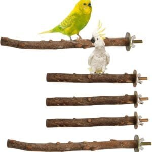 Perchas para pájaros, 5 unidades, accesorios naturales para pájaros, como periquitos, canarios, agapornidos, barras de madera natural para el pájaro como accesorio importante para pájaros en la jaula