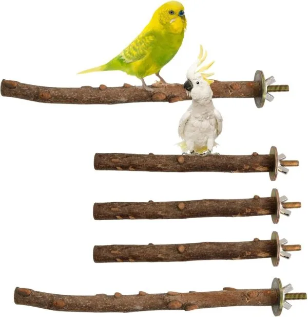 Perchas para pájaros, 5 unidades, accesorios naturales para pájaros, como periquitos, canarios, agapornidos, barras de madera natural para el pájaro como accesorio importante para pájaros en la jaula