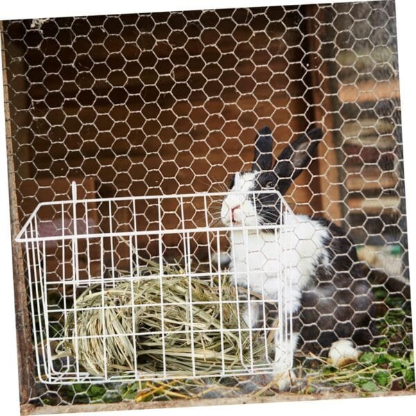 HAPINARY Alimentador De Conejos Heno De Conejillo De Indias Soporte para Conejos Soporte De Hierro Accesorios para Hámster Alimentador De Jaula De Conejo Alimentador De Animales - Image 3