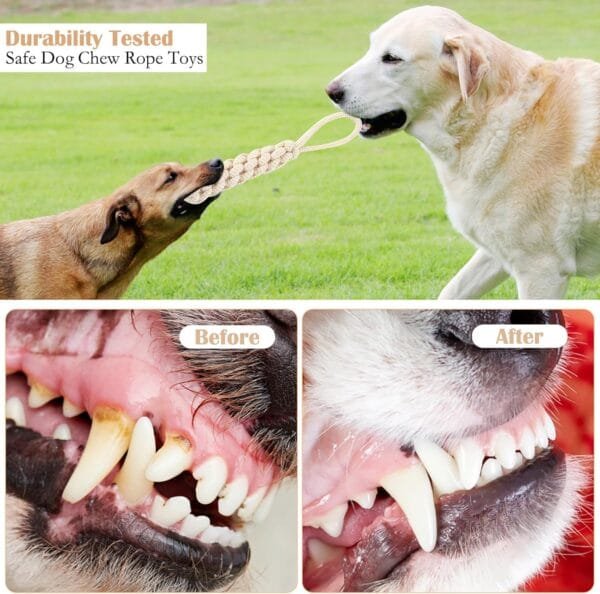 BRISKORE Cuerda de juguete para perros con nudos, juego de 4 juguetes para perros de cáñamo 100% natural, juguete para perros, juguete para perros pequeños (1) - Image 4