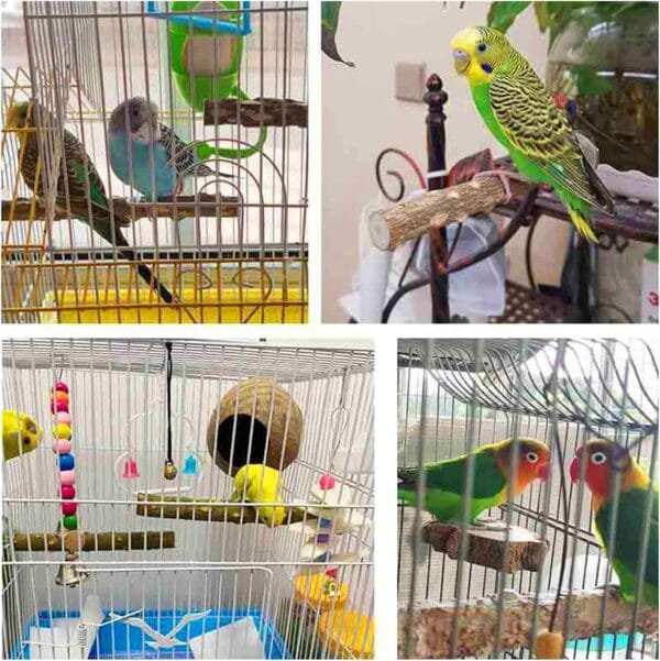Andiker 2 Piezas Soporte de Pájaro, Juego de Loro de Madera Natural Perch, Barra de Molienda de Garras de Pájaro, Budgies, Parots, Conures, Lovebirds, Accesorios de Jaula de Juguete (10cm+20cm) - Image 6