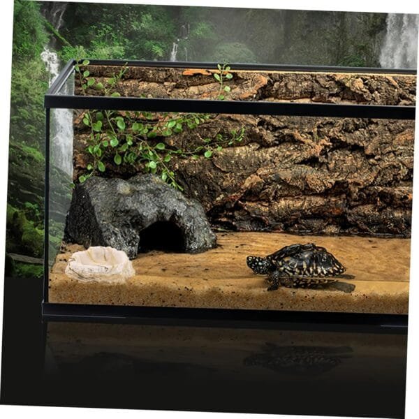 Yardwe 3 Piezas Cuenco para Mascotas Pet Feeder Plato alimentación Gecko Cuenco Agua del terrario Remojar en Agua Bandeja alimentación Plato Comida Plato Animales envase - Image 6