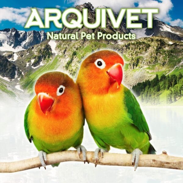 ARQUIVET Escalera de Madera para pájaros 7 peldaños - 14 x 69 cm - Accesorios para jaulas - Juguetes para Todo Tipo de Aves - Loros, periquitos, Canarios, agapornis y más - Image 2