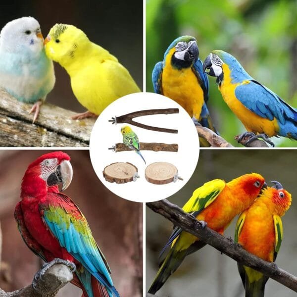 SRJE 4 perchas de madera natural para pájaros, para pájaros, madera natural, ramitas de madera, soporte para pájaros, jaula de pájaros, jaula para pájaros, accesorios para pájaros y pinzones, Marrón - Image 7