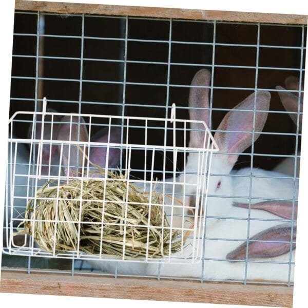 HAPINARY Alimentador De Conejos Heno De Conejillo De Indias Soporte para Conejos Soporte De Hierro Accesorios para Hámster Alimentador De Jaula De Conejo Alimentador De Animales - Image 9