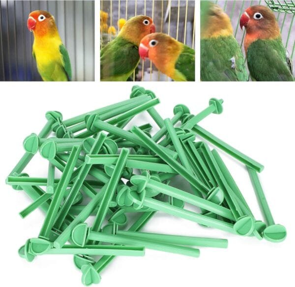 Kuuleyn 50 Perchas para jaulas de pájaros pequeñas, Soporte de plástico, Jaula para pájaros, Perchas para pájaros, pinzón Canario, Periquito, Jaula, Accesorio para Jaula de Barra - Image 2