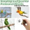 5PCS Perchas de Pájaros, Perca de Pájaro de Madera Natural, Soporte para Plataforma de Pájaros Pequeños, Juguetes para Periquitos, Accesorio para Jaulas de Pájaros para Cacatúas Agapornis - Image 6