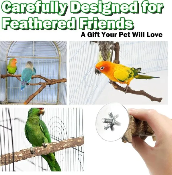 5PCS Perchas de Pájaros, Perca de Pájaro de Madera Natural, Soporte para Plataforma de Pájaros Pequeños, Juguetes para Periquitos, Accesorio para Jaulas de Pájaros para Cacatúas Agapornis - Image 6