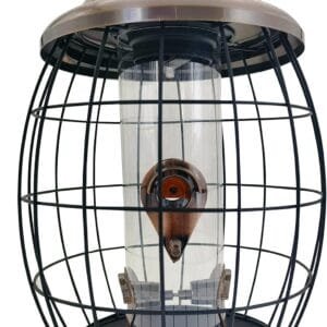 Dehner Natura Positano - Dispensador de Comida para pájaros Silvestres (21,5 x 35,5 cm, Metal), Color Gris