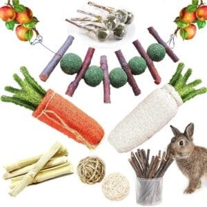 SKOOLOVE Juguete para conejo, 20 unidades, bolas naturales, accesorio para conejo, juguete para masticar para Guinea Pig Chinchilla