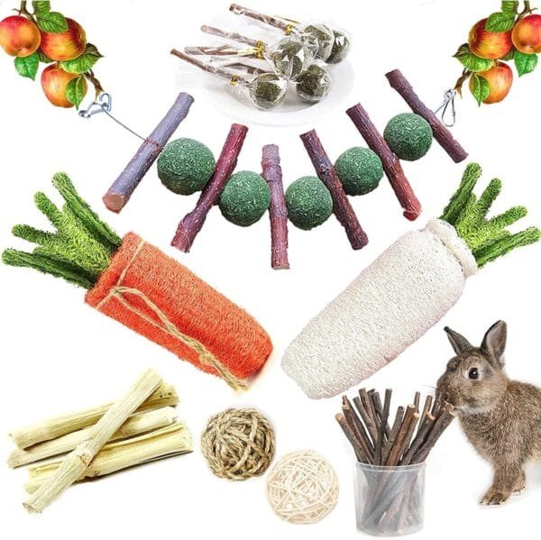 SKOOLOVE Juguete para conejo, 20 unidades, bolas naturales, accesorio para conejo, juguete para masticar para Guinea Pig Chinchilla