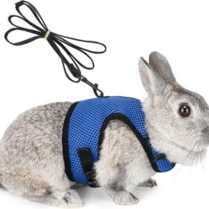 HAPPY HACHI Arnés Conejos con Correa Elástica, Arnes Cobaya Hámsteres Conejo Enano Belier para Animales Gatos Pequeños(S, Azul)