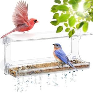 UPP comedero de pájaros Exterior para Ventana I alimentador de Aves, observa los pajaros Desde la Ventana I pajarera Transparente, con 4 ventosas I casita comedero gorriones, Canarios... (30x14x10cm)