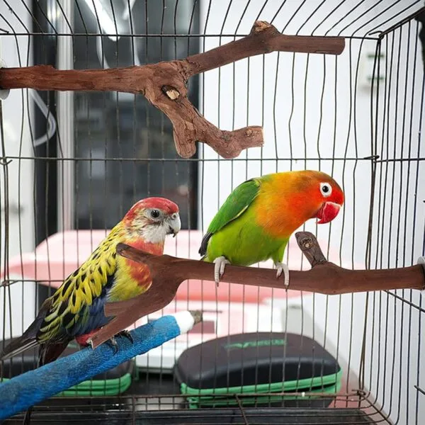 5PCS Perchas de Pájaros, Perca de Pájaro de Madera Natural, Soporte para Plataforma de Pájaros Pequeños, Juguetes para Periquitos, Accesorio para Jaulas de Pájaros para Cacatúas Agapornis - Image 3