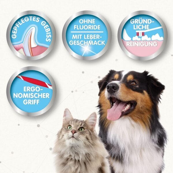 beaphar Juego de Cuidado Dental y Cepillo de Dientes para Perros Grandes y pequeños para Gatos, con Sabor a hígado, sin flúor, 1 Cepillo y 1 Pasta de Dientes - Image 3