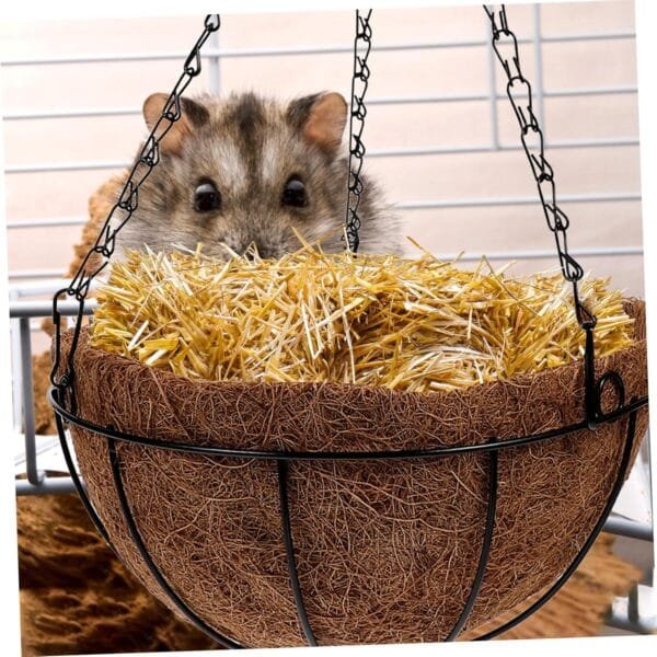 BESPORTBLE comedero de heno para Conejos dispensador de Comida para Conejos comedero para Conejos Comedero para Chinchillas Comedero para roedores Accesorio de Conejo Suministro de Mascotas - Image 3