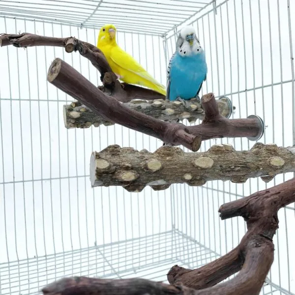 5PCS Perchas de Pájaros, Perca de Pájaro de Madera Natural, Soporte para Plataforma de Pájaros Pequeños, Juguetes para Periquitos, Accesorio para Jaulas de Pájaros para Cacatúas Agapornis - Image 7