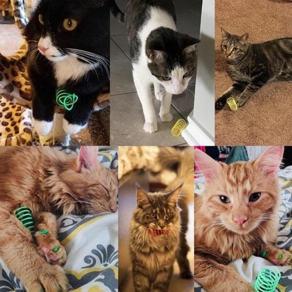 AWAVM 16 juguetes de resorte de plástico de colores para gatos, juguetes interactivos para mascotas para personas perezosas para burlarse de los gatos y juguetes de salto para gatos - Image 7