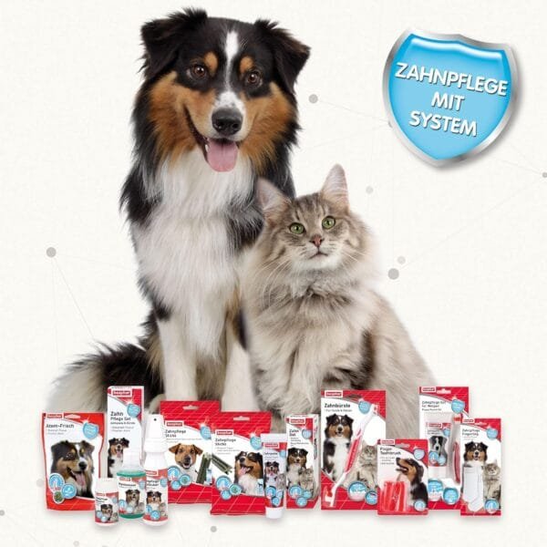beaphar Juego de Cuidado Dental y Cepillo de Dientes para Perros Grandes y pequeños para Gatos, con Sabor a hígado, sin flúor, 1 Cepillo y 1 Pasta de Dientes - Image 7