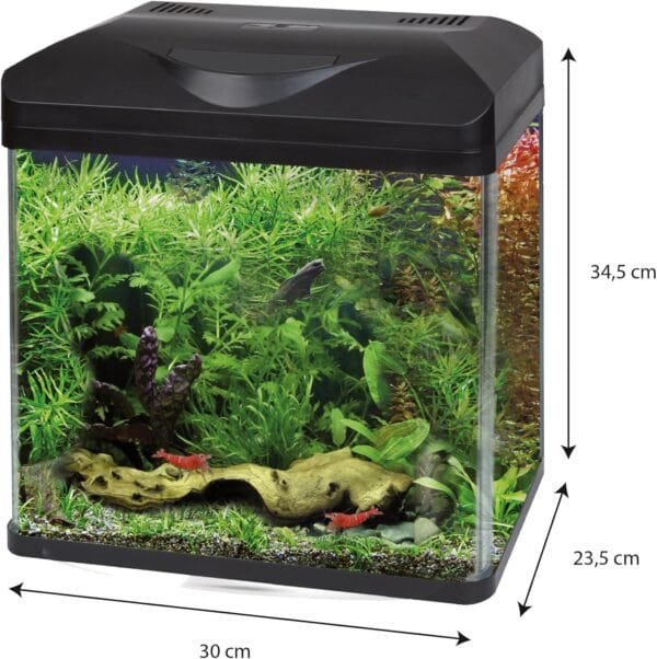 Amtra Laguna Led 30 - Acuario De Cristal De 18 Litros Con Tapa, Iluminación Led Y Filtro Incluido, 30X23,5X34,5 Cm, Negro - Image 4